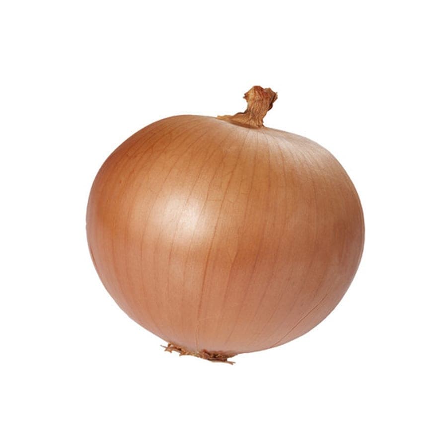 Brown Onion