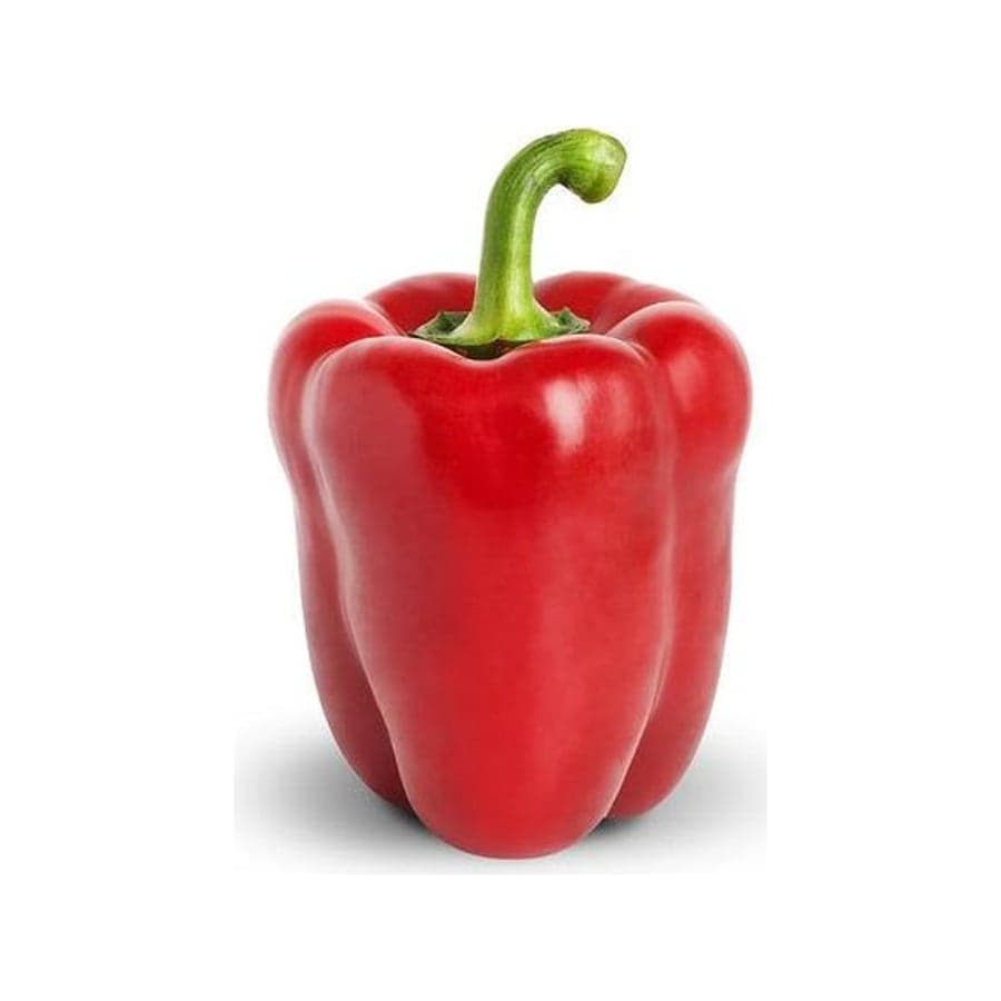 Red Capsicum
