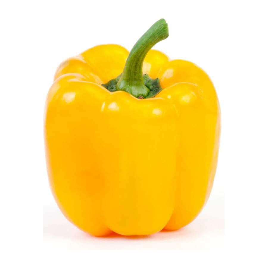 Yellow Capsicum