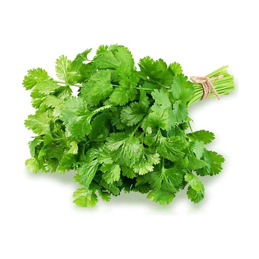 Coriander