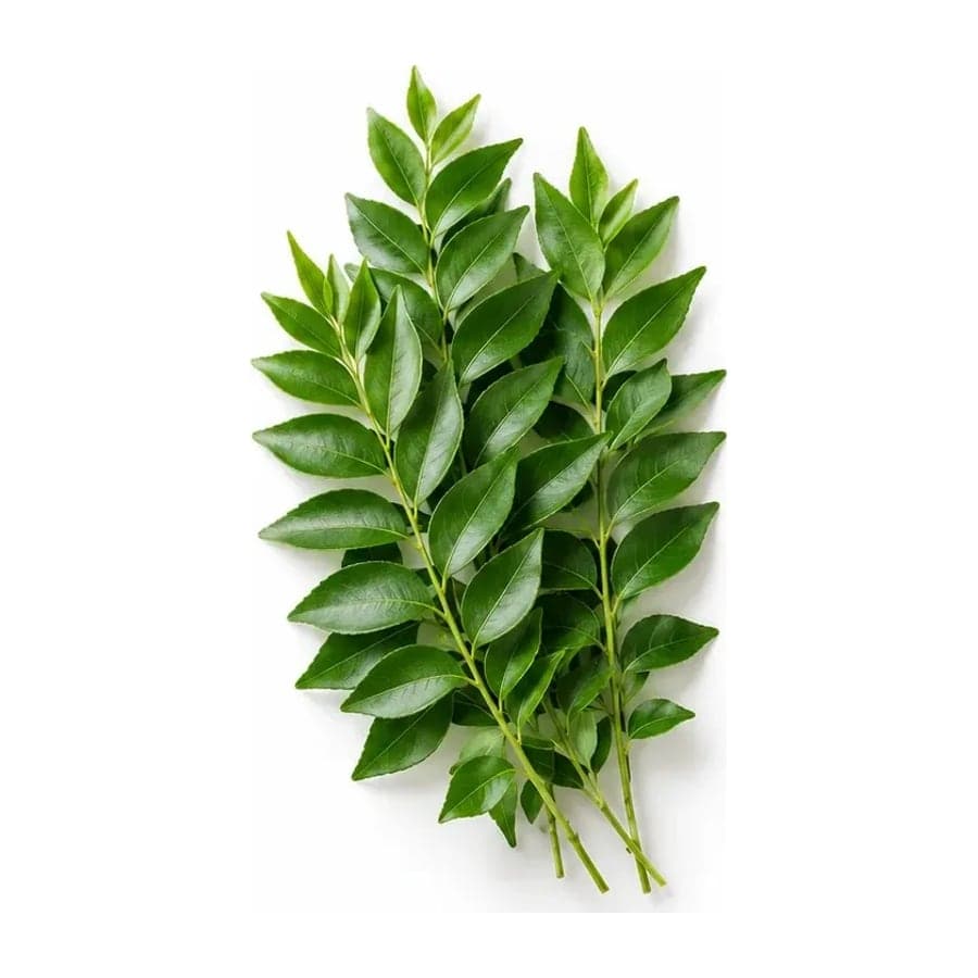 Curry Leaves