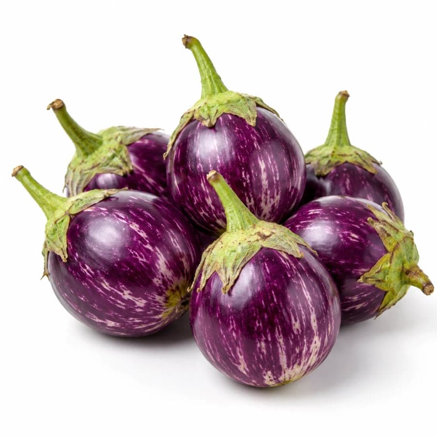 Eggplant / Indian Brinjal