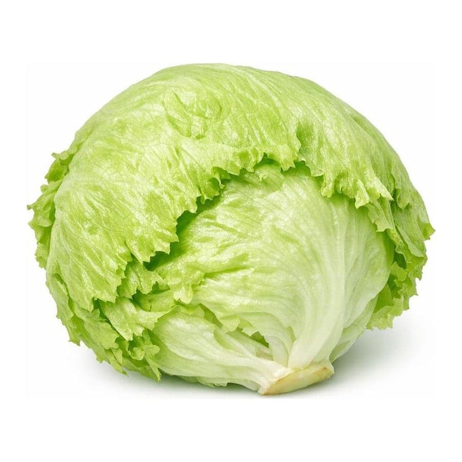 Iceberg Lettuce