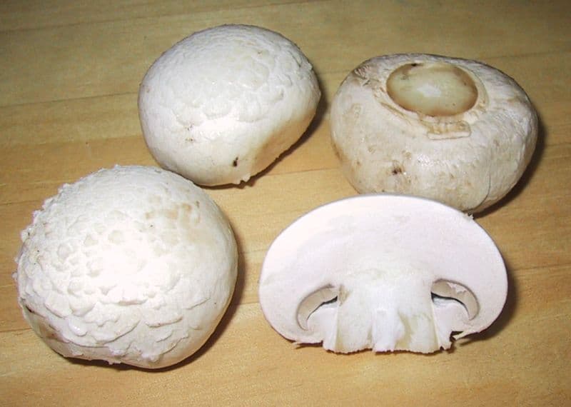 Button Mushrooms