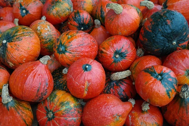 Pumpkin