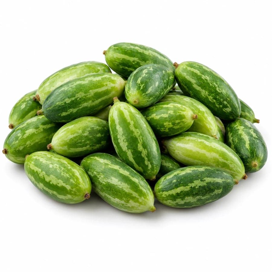 Tindora